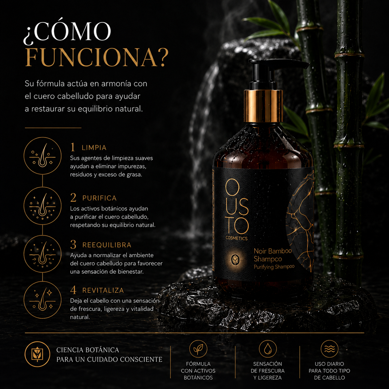Champú Noir Bamboo. Detox 250ml.